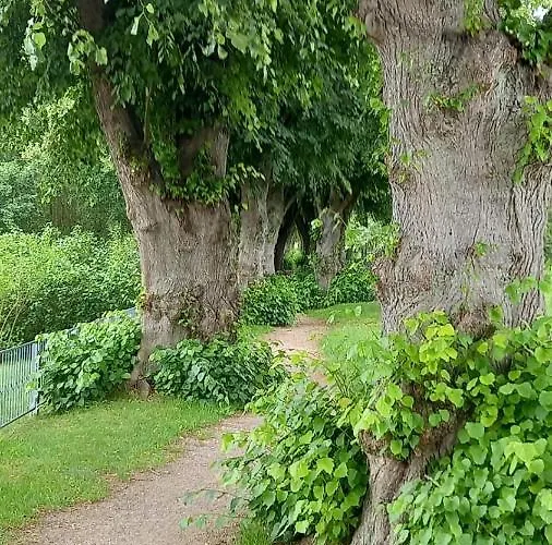 Ferienhaus Seestern *